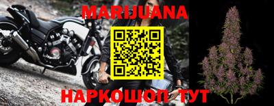 мдпв Ачхой-Мартан