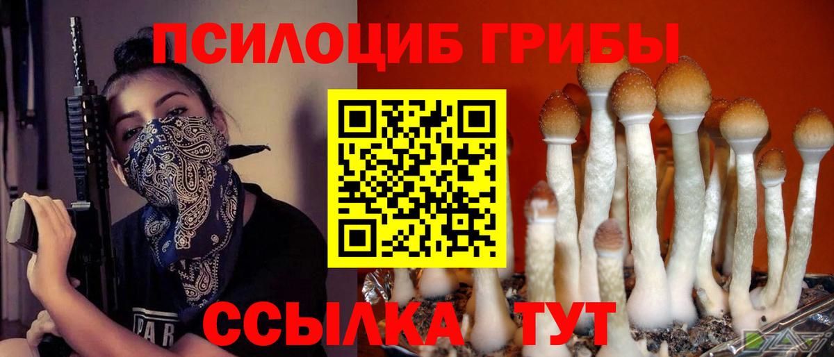 Галлюциногенные грибы ЛСД  Вход с VPN  Асбест  Псилоцибиновые грибы Cubensis 