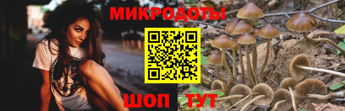 Псилоцибиновые грибы прущие грибы Асбест